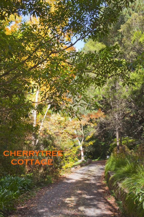 Crafers Cottages Adelaide Pokoj fotografie